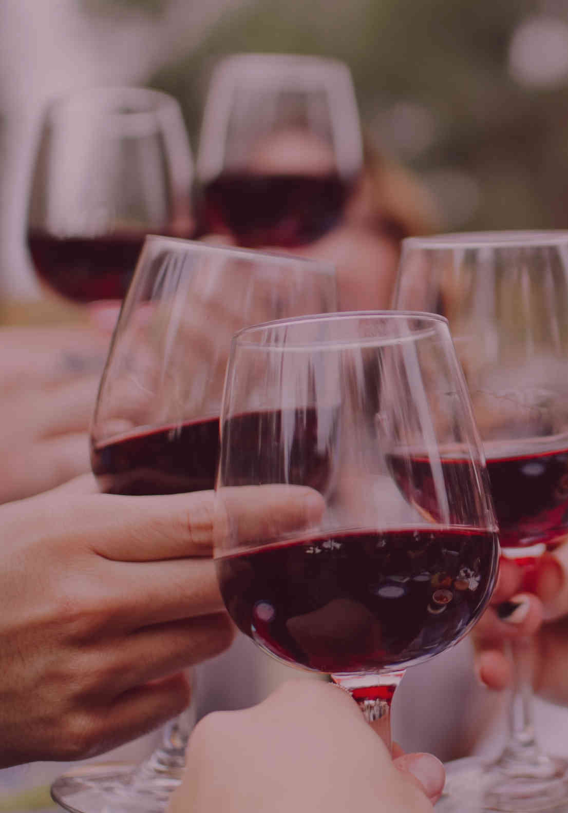 Wine Tours Near Me